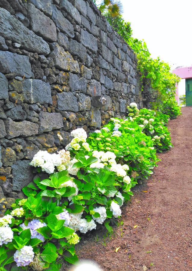 Quinta Nossa Senhora De Lourdes Guest House Capelas Exterior photo
